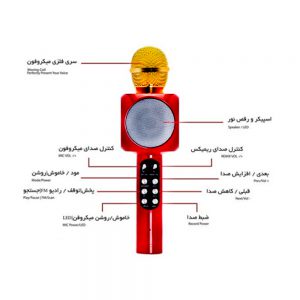 ميکروفن رقص نوردار کد 1816